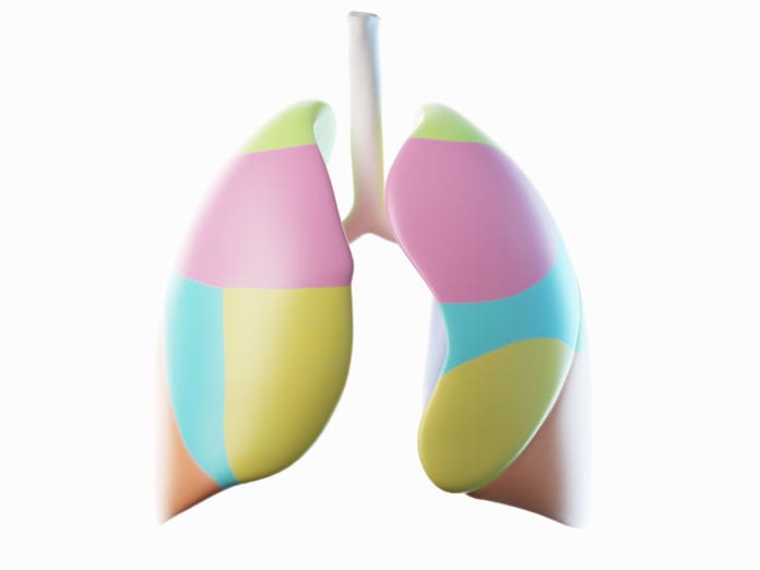 Lung Computer Illustration