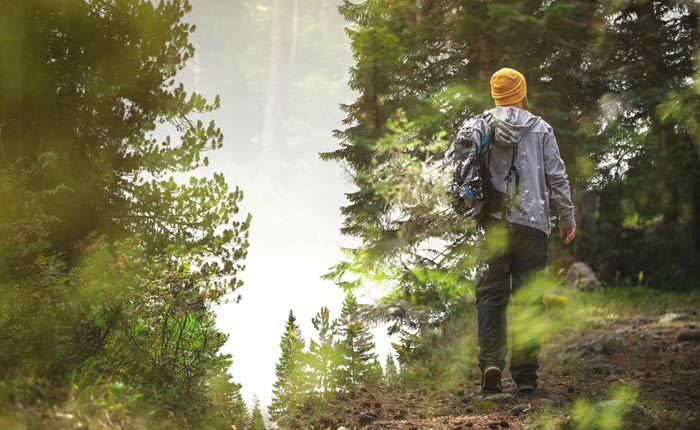 Man walking in the forest