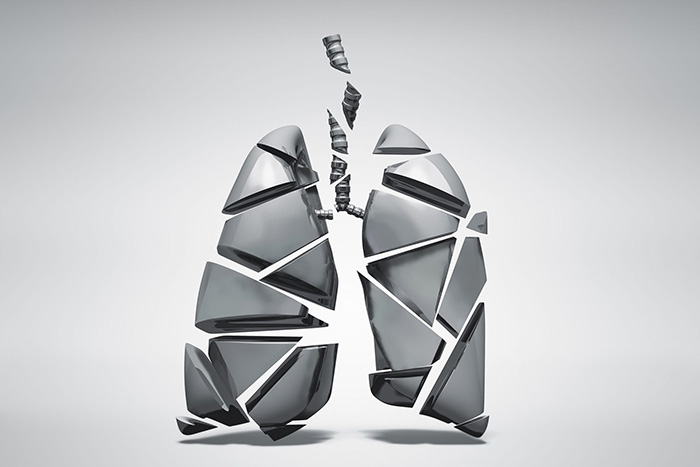 A 3d illustration of a pair of lungs