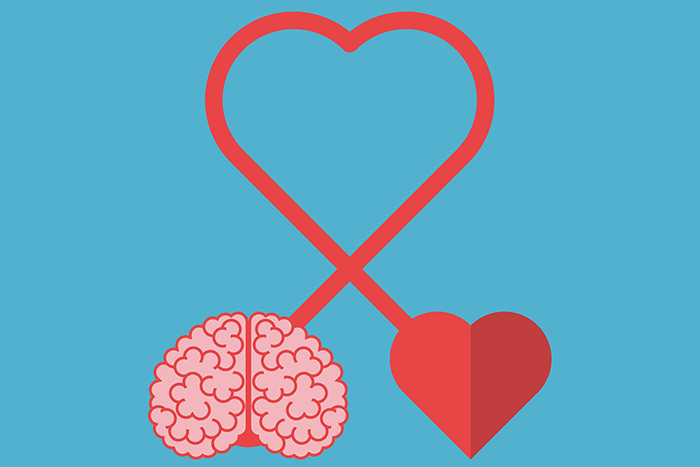 An illustration of a heart and a brain