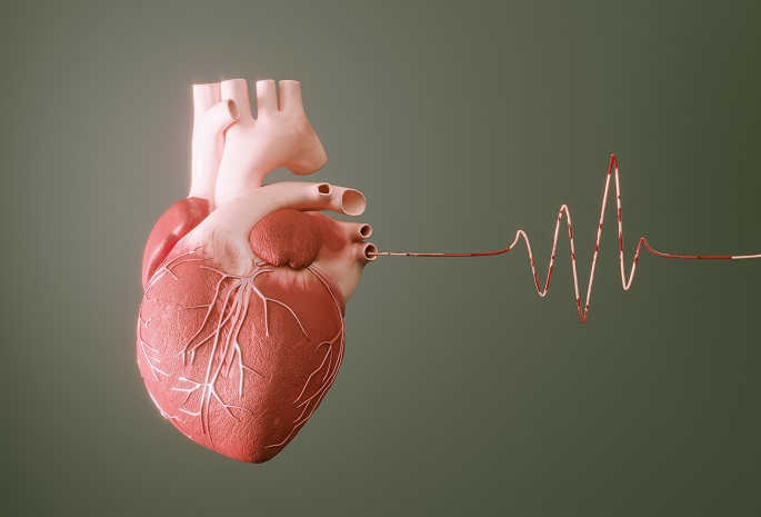3D heart illustration with electric current going into vessel